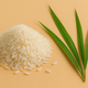 RICE WATER
