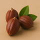 JOJOBA OIL 