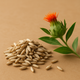 SAFFLOWER SEED OIL 