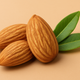 SWEET ALMOND OIL